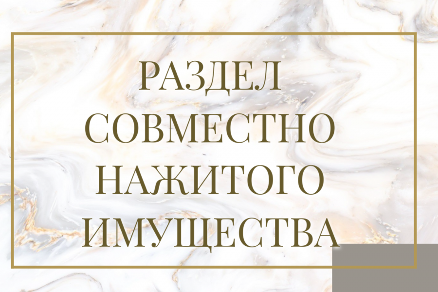 Раздел совместно нажитого имущества